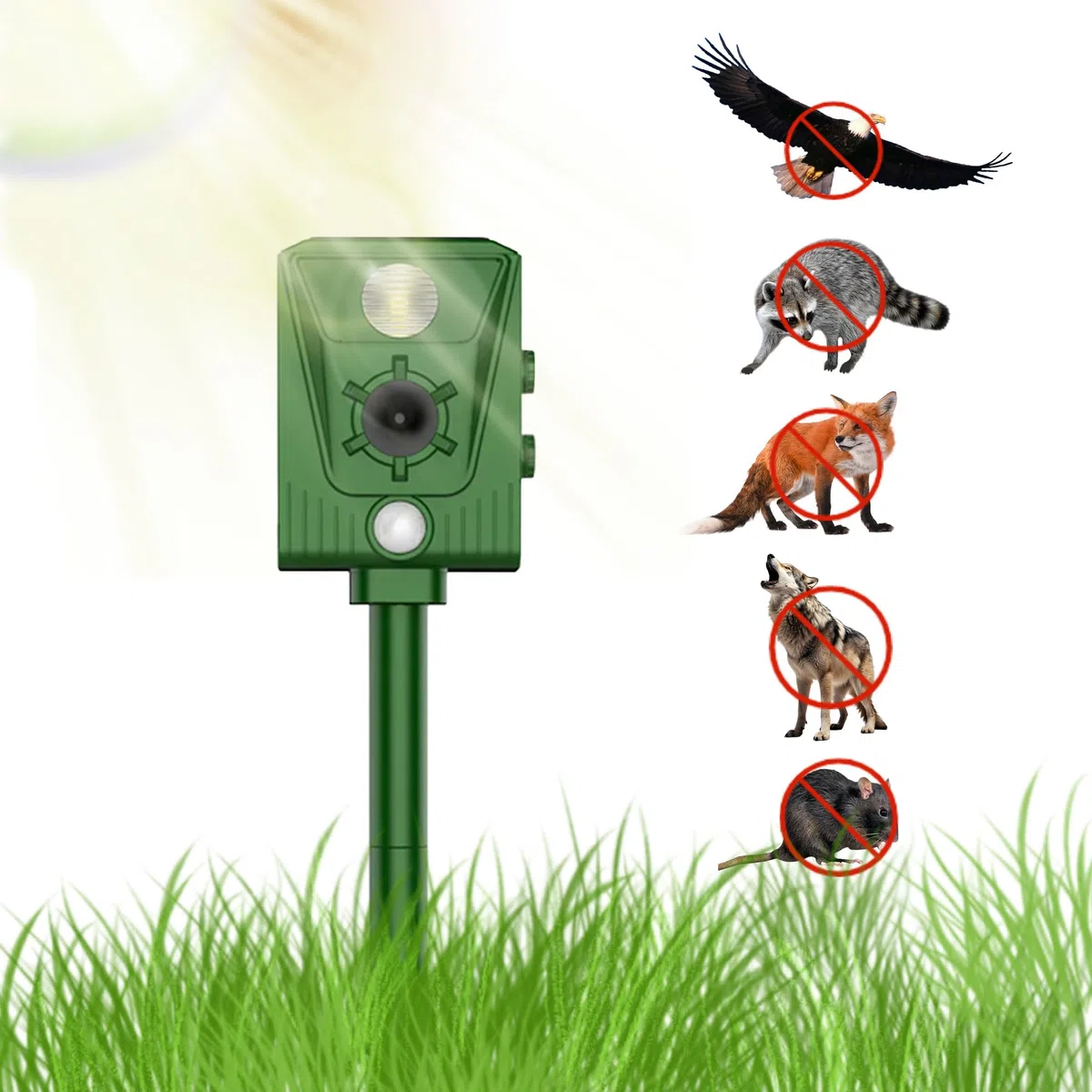 Répulsif pour Chats, répulsif à ultrasons à énergie Solaire IP66 étanche à fréquence réglable pour éloigner Les Animaux, 5 Modes réglable, répulsif pour Animaux à ultrasons