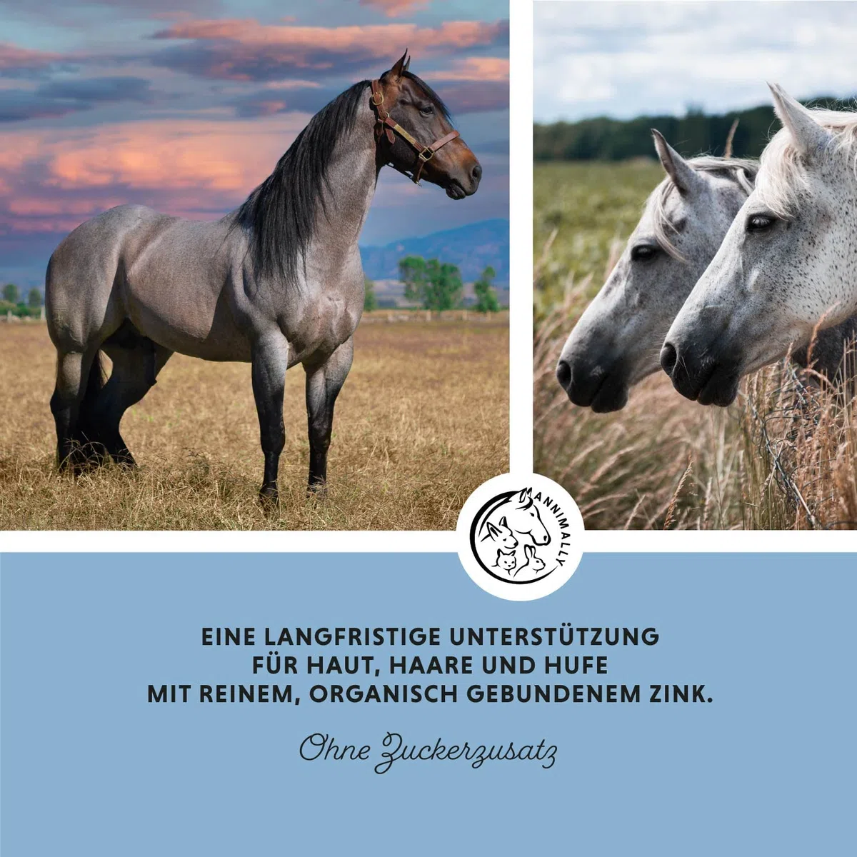 Annimally Zinc pour Chevaux - Pellets de Zinc (700g) Haute Dose avec Cumin Noir, zéolite, Sainfoin et levure de bière pour la Peau, Les Poils et Les Sabots