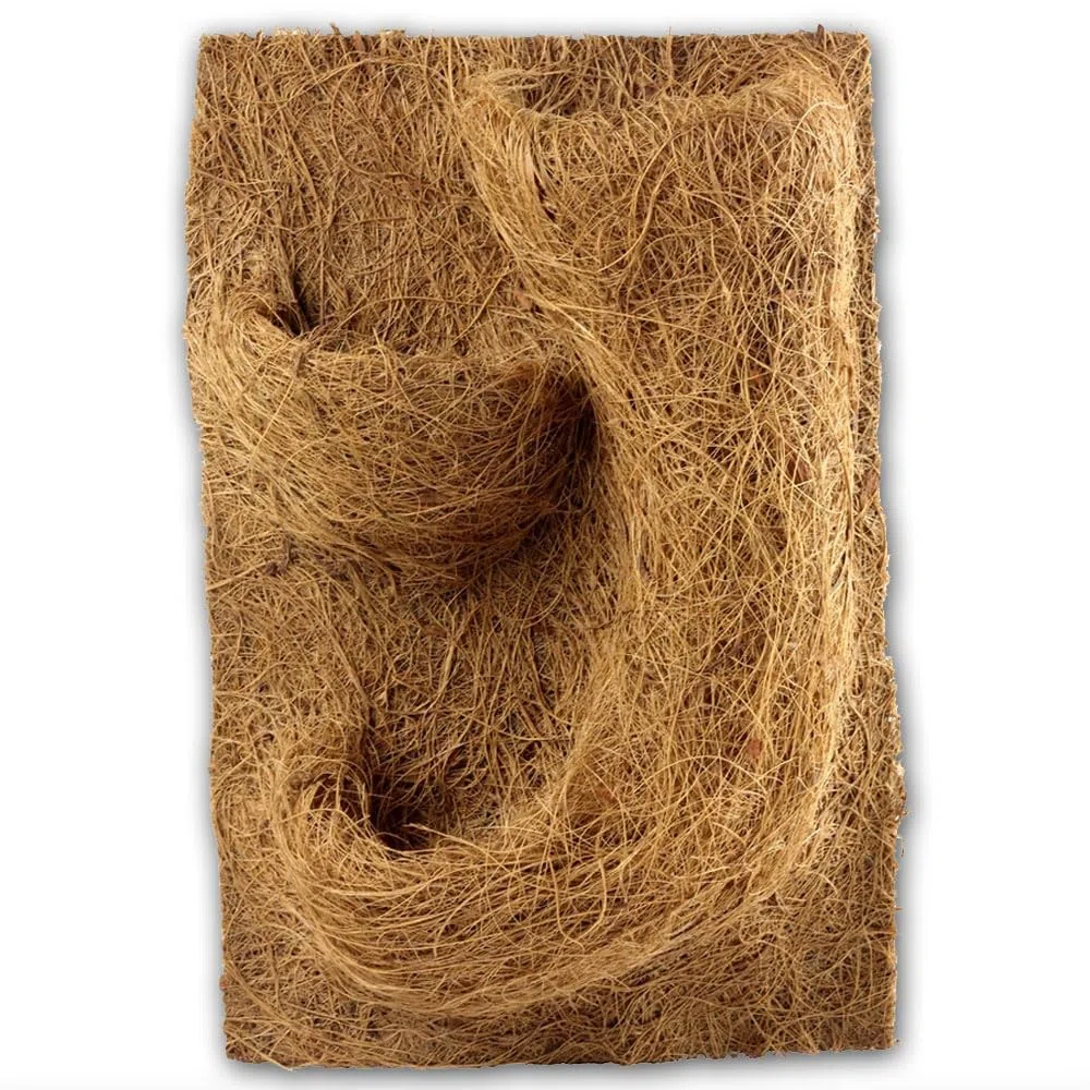 Reptile Planet - Planting Background - Décor en Fibre de Coco pour Terrarium - 20 x 30 cm