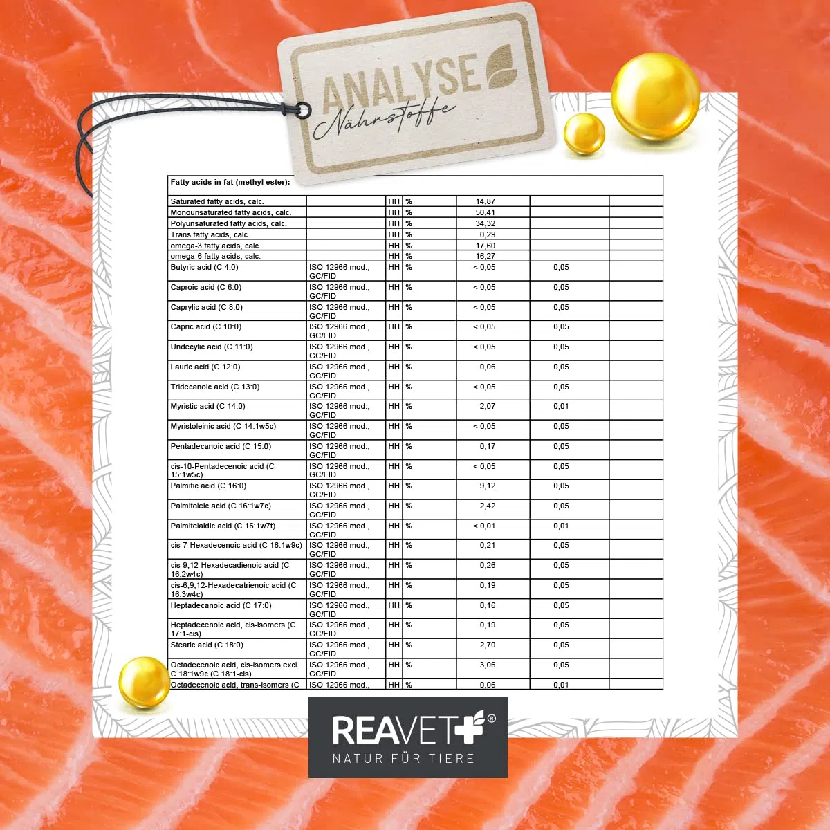 ReaVET Huile de Saumon Chiens 500 ML, oméga 3 & 6 Barf Huile Chiens I Huile de Saumon Chiens 500 ML I Huile de Poisson à Haute Dose Chiens en qualité Alimentaire