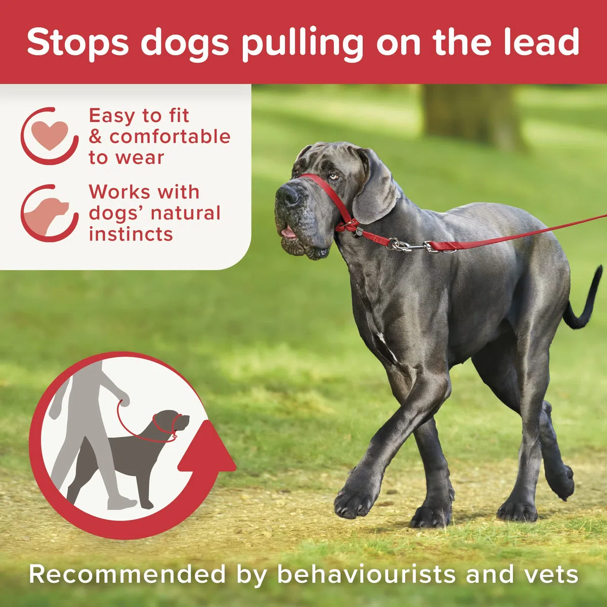 Beaphar Gentle Leader - Collier pour Chien - Taille L - Rouge - Robuste et Durable - Facile à Installer - Pour Toutes les Tailles de Race - Imprimé Animal
