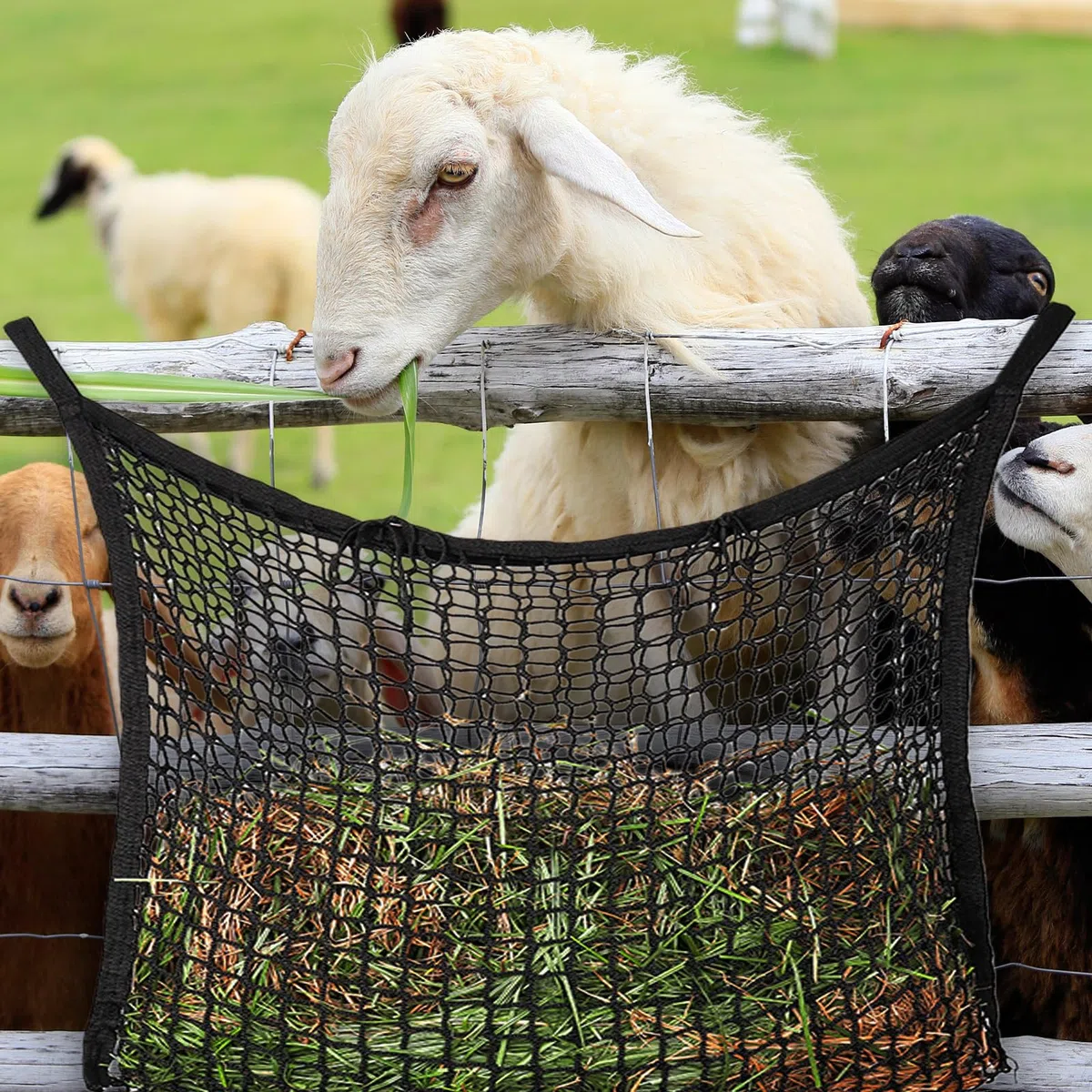 PORFOYO Filet à foin pour chevaux - 120 x 90 cm - Maille étroite avec 2 mousquetons - Filet d'alimentation avec boucle de sécurité - Capacité 10 kg - Filet à foin pour chevaux