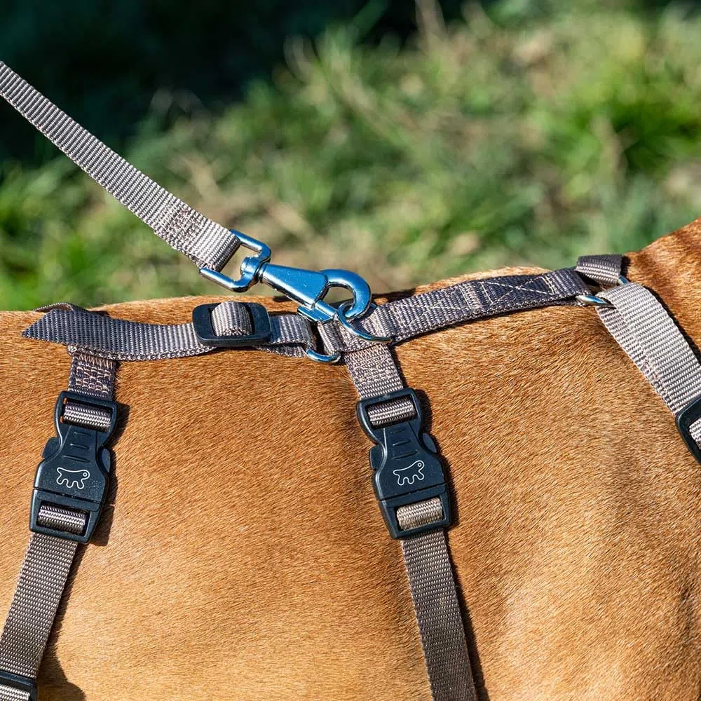 Ferplast Harnais pour Chien Brave Taille Moyenne, réglable en 6 Points, Anti-Fugue et Anti-Panique, Marron
