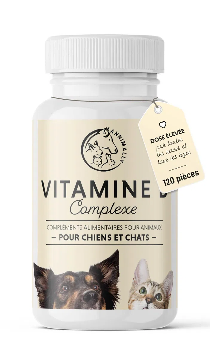 Vitamine B Complex 120 comprimés pour Chien et Chat : Vitamine B1, B2, B3, B5, B6, B9, B12 - Vitamines et compléments pour Chiens et Chats - Vitamine pour Chien - Vitamine Chat