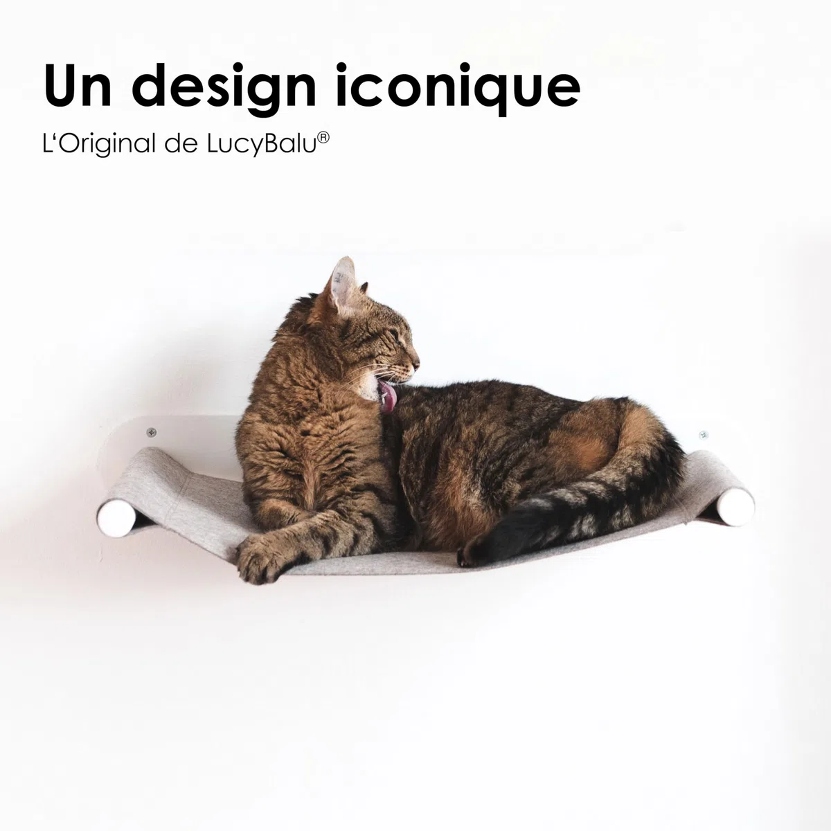 LucyBalu® Swing Hamac Mural pour Chat en Feutre Naturel I Blanc