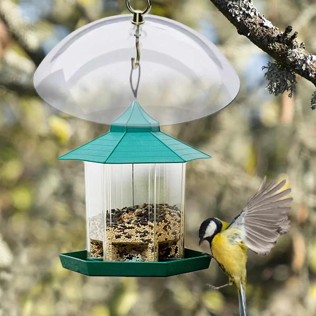 Bird Feeder Cover - Bird Feeder Cover | Feeder Baffle | Bird Feeder Protective Dome, Bird Feeder Protective Dome To Keep Feeders Dry, Hummingbird Feeder Rain Cover from Weather And Sun