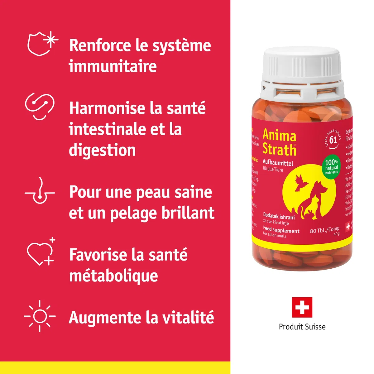 Anima Strath Complément Alimentaire pour Chiens - (80 Comprimés) 61 Nutriments, Vitamines, Minéraux, Acides Aminés, Complément Naturel pour Le Système Immunitaire et la Digestion.