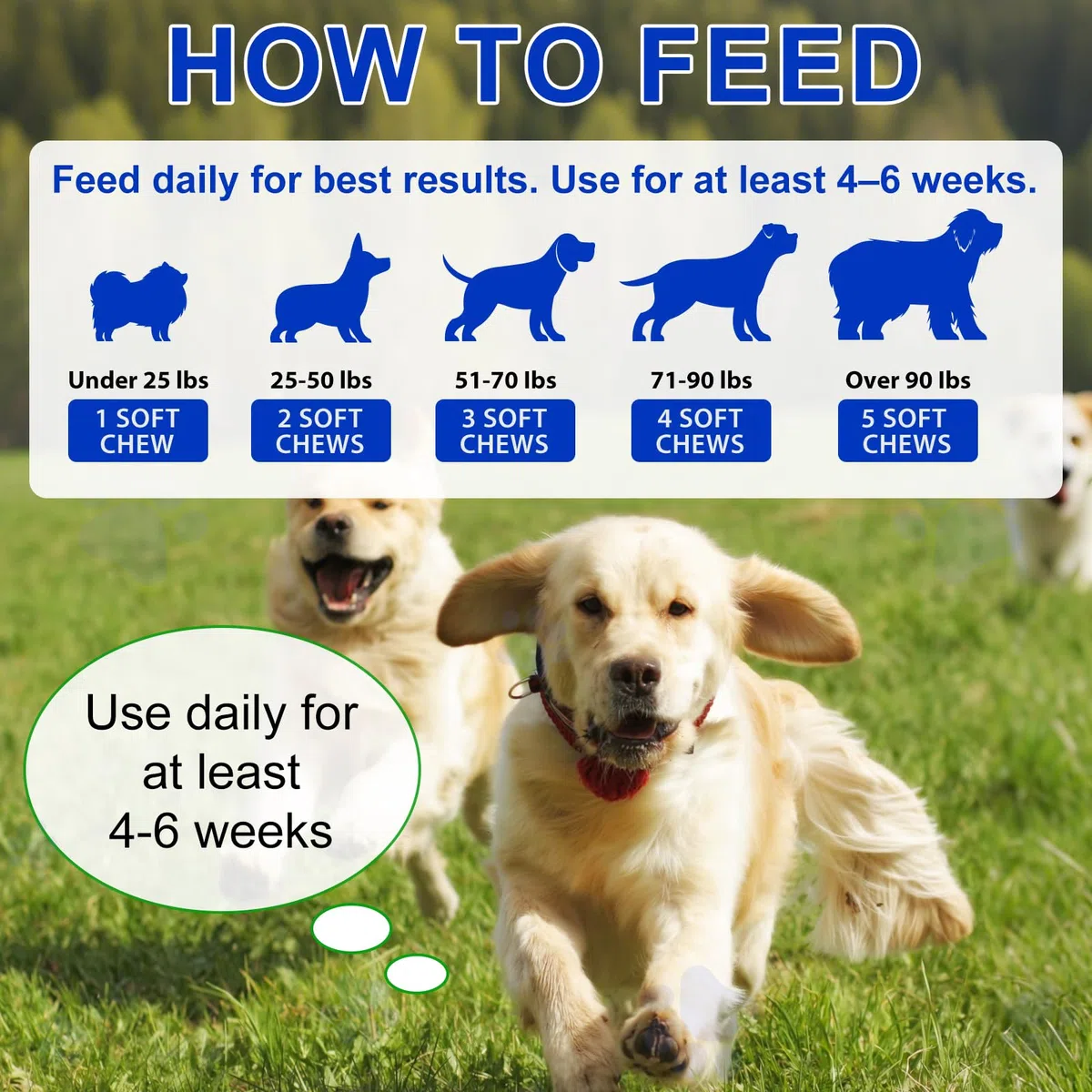 Probiotiques pour Chiens, Digestive Remedies for Dogs, enzymes digestives, santé intestinale, démangeaisons cutanées, Allergies, système immunitaire et Soutien à la santé Globale,150 Chews Duck
