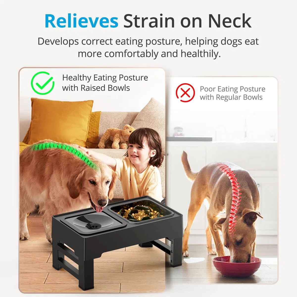 Gamelles Surélevées de 4 Hauteurs Ajustables, Support avec Gamelle Anti-Glouton et Gamelle Eau Anti-Éclaboussure pour Chien de Taille Moyenne et Grande