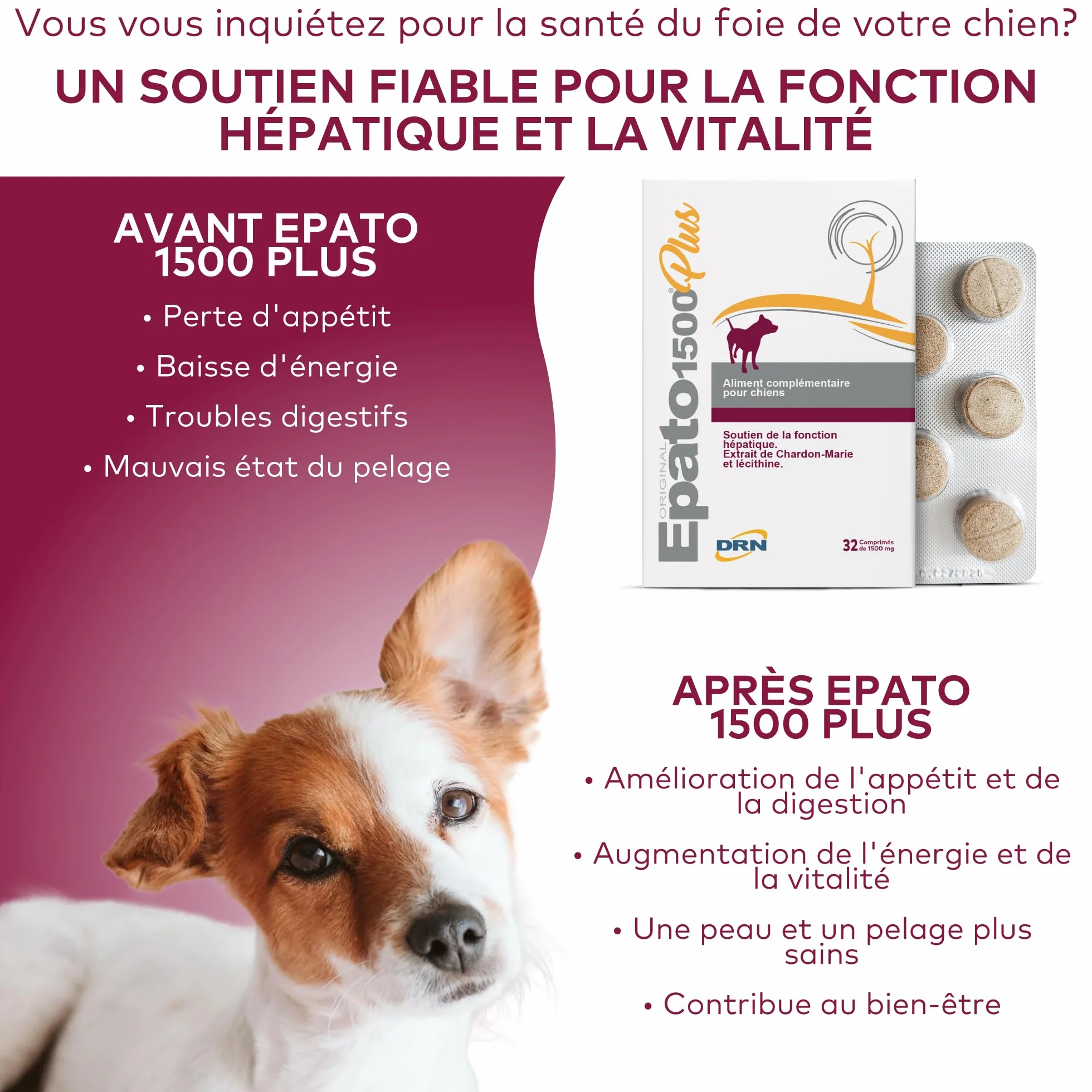 Complément hépatique pour Chien | Extrait de Chardon-Marie et Lécithine | Prébiotiques MOS et FOS | Soutien de la Fonction hépatique | 32 Comprimés de 1500 MG