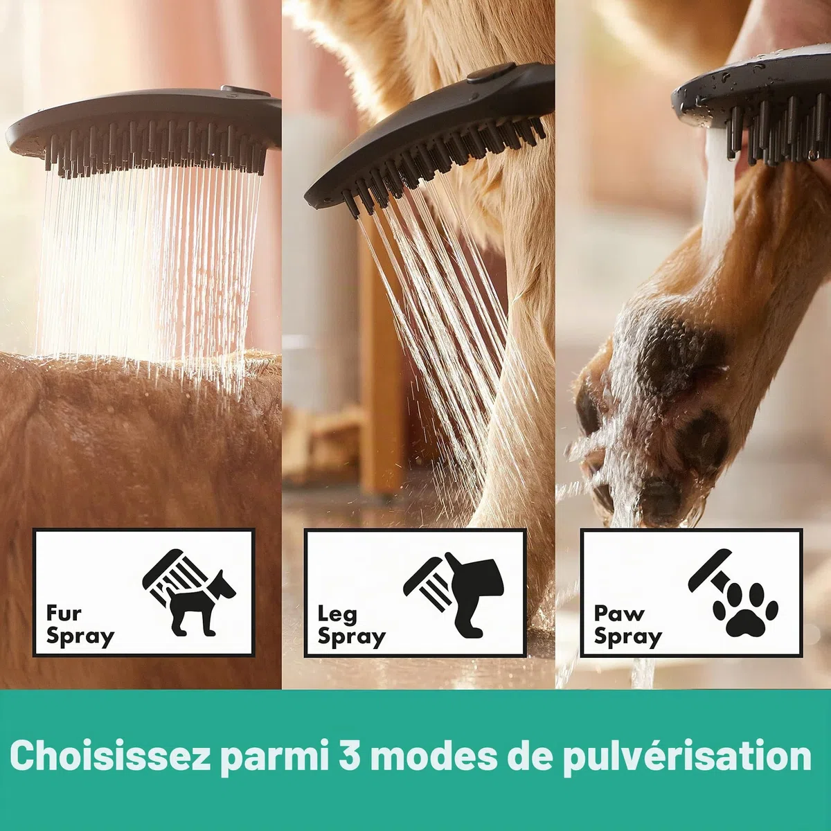 hansgrohe DogShower Douchette pour chien 150 3 jet avec buses massantes, noir mat, 26640670