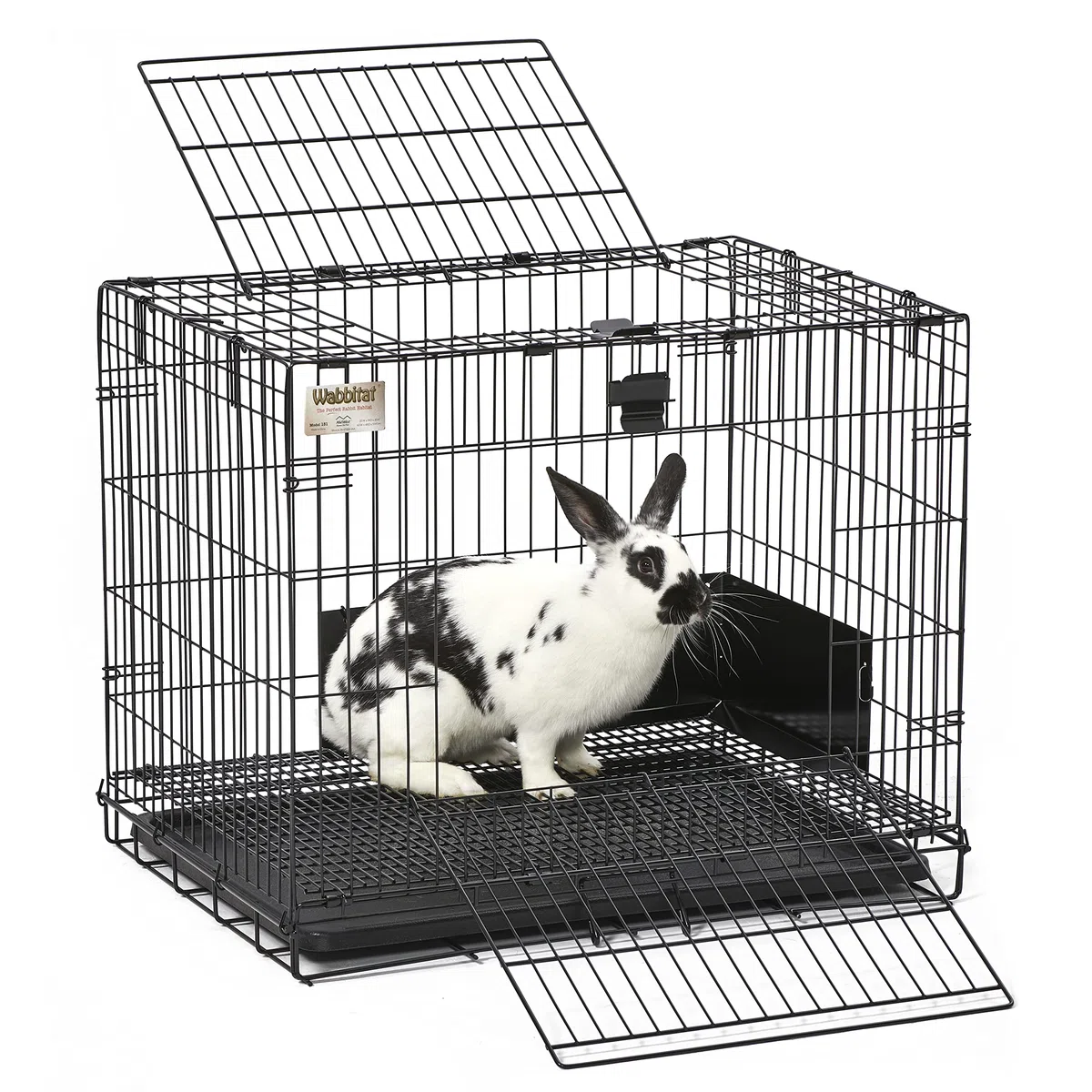 MidWest Homes for Pets Modèle 151 Cage à Lapin Pliante Wabbitat, 63,5 cm de Long, avec Grille de Sol de 1,27 cm et Plateau en Plastique Amovible, Noir