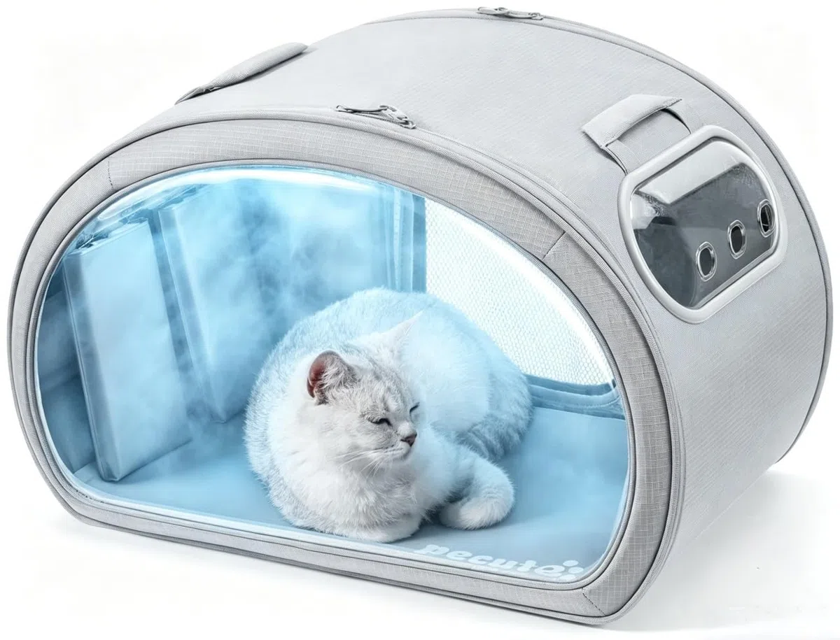 Niche Rafraîchissante pour Chat Pecute | Cabane Anti-Canicule avec Blocs de Glace et Tapis Gel | Design Transparent et Structure Solide | Idéale pour Maison et Extérieur | Taille M, Gris