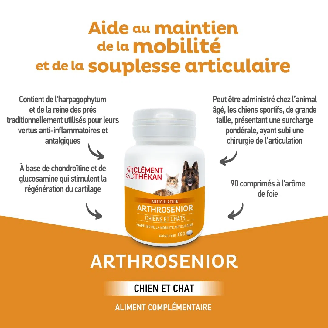 Clément Thékan Arthrosenior Grand Format - Aide à la mobilité articulaire chez Le Chien et Le Chat - Stimule la régénération du Cartilage - 90 comprimés sécables aromatisés