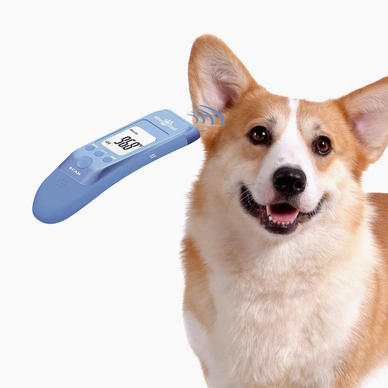 Thermomètre clinique rapide pour animaux de compagnie pour chiens, modes corporels Mesure avec précision la température des oreilles de l'animal