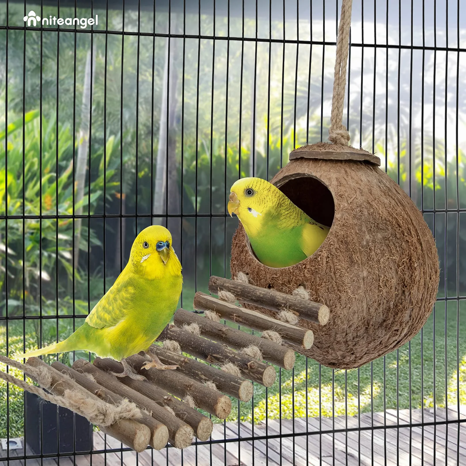 Niteangel® Nid d'oiseau naturel Coconut Hideaway avec échelle, jouet pour oiseaux et petits animaux