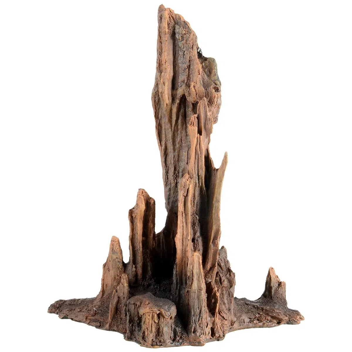 Underwater Treasures - Bois pétrifié - Grande Taille