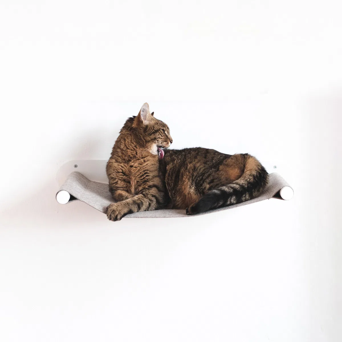 LucyBalu® Swing Hamac Mural pour Chat en Feutre Naturel I Blanc