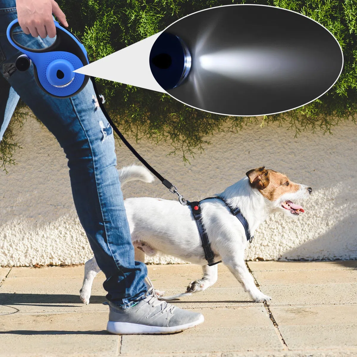Laisse rétractable pour Chien 8M,avec Lampe de Poche LED, avec Support Sac à déjections Canines,Laisse de Dressage Automatique pour Chien jusqu'à 110 LB (50 kg) (Bleu)