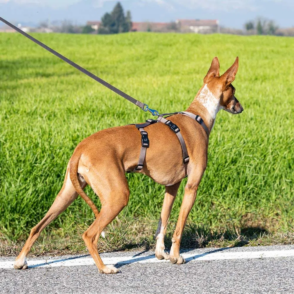 Ferplast Harnais pour Chien Brave Taille Moyenne, réglable en 6 Points, Anti-Fugue et Anti-Panique, Marron
