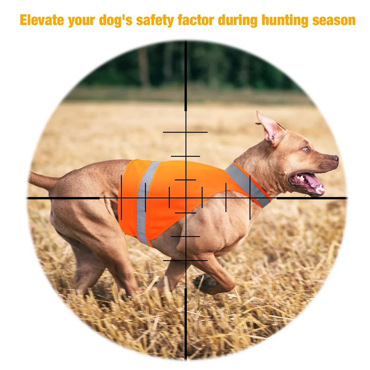 Lot de 2 Gilets Réfléchissants pour Chien - Sécurité pour la Chasse et Promenades Nocturnes - Taille L