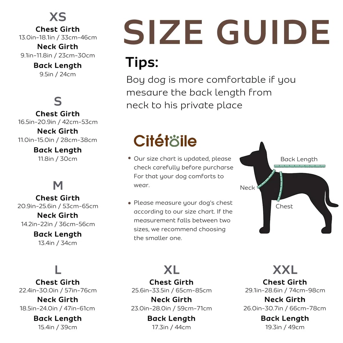CITÉTOILE Gilet de Sauvetage pour Chien, Gilet de Sauvetage pour Chien avec poignée et réfléchissant, avec Une Bonne flottabilité, léger et sûr pour Les Sports Nautiques, Gris, XS
