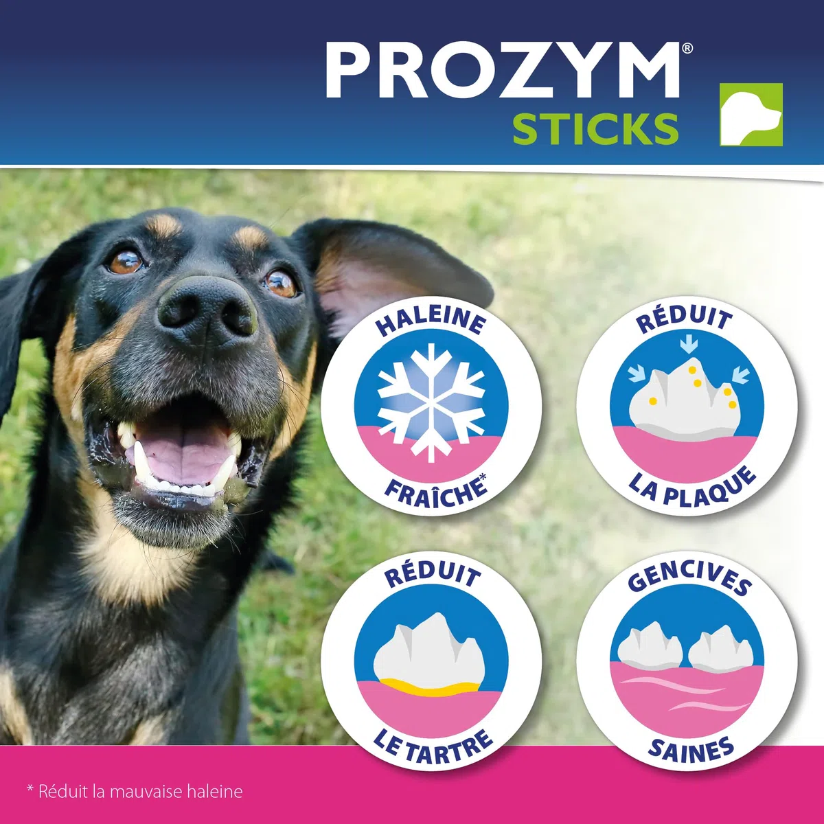 PROZYM RF2 Pack 2x12 Sticks - Spéciale Hygiène Dentaire Naturelle - Recommandé par des Vétérianire - Formule Vegan pour Chien - 24 Sticks (-25kg)