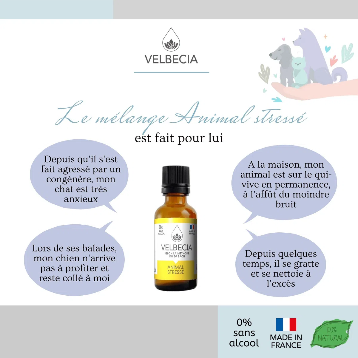 Velbecia® Animal stressé 30ml +1 OFFERT Elixirs de fleurs SANS ALCOOL - Méthode du Dr Bach - Apaise et calme votre animal