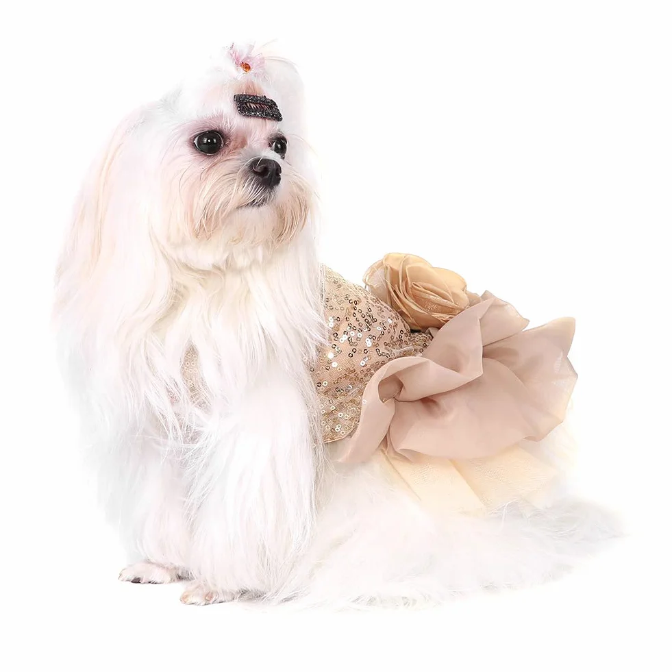Petit Chien Robe de Mariée Chien Paillettes Robe Chiot Princesse Bulle Jupe Costume de Mariage Vêtements D'été pour Animaux de Compagnie (Or)