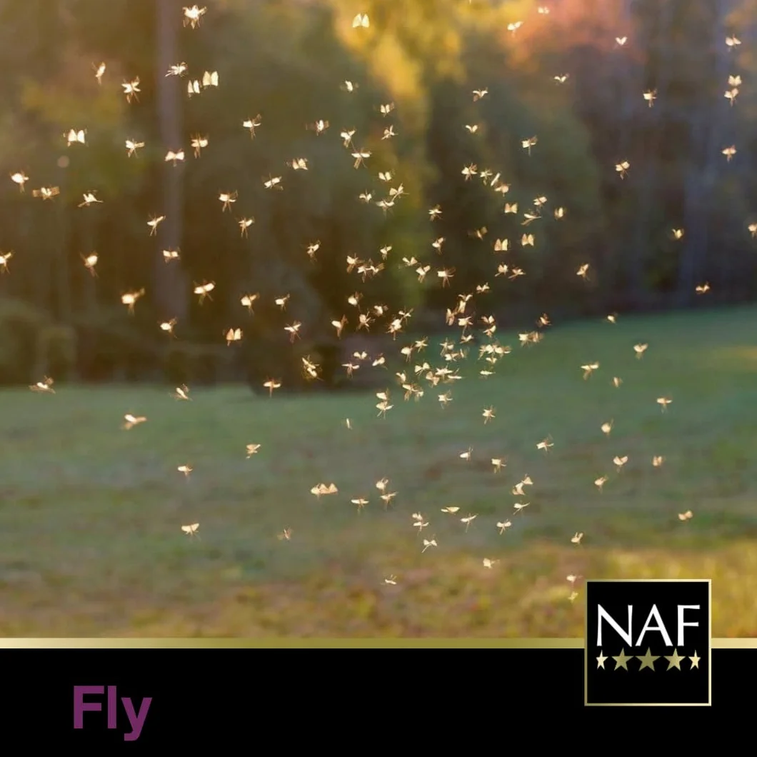 NAF Off Gel à la citronnelle, 750 g (Lot de 1)
