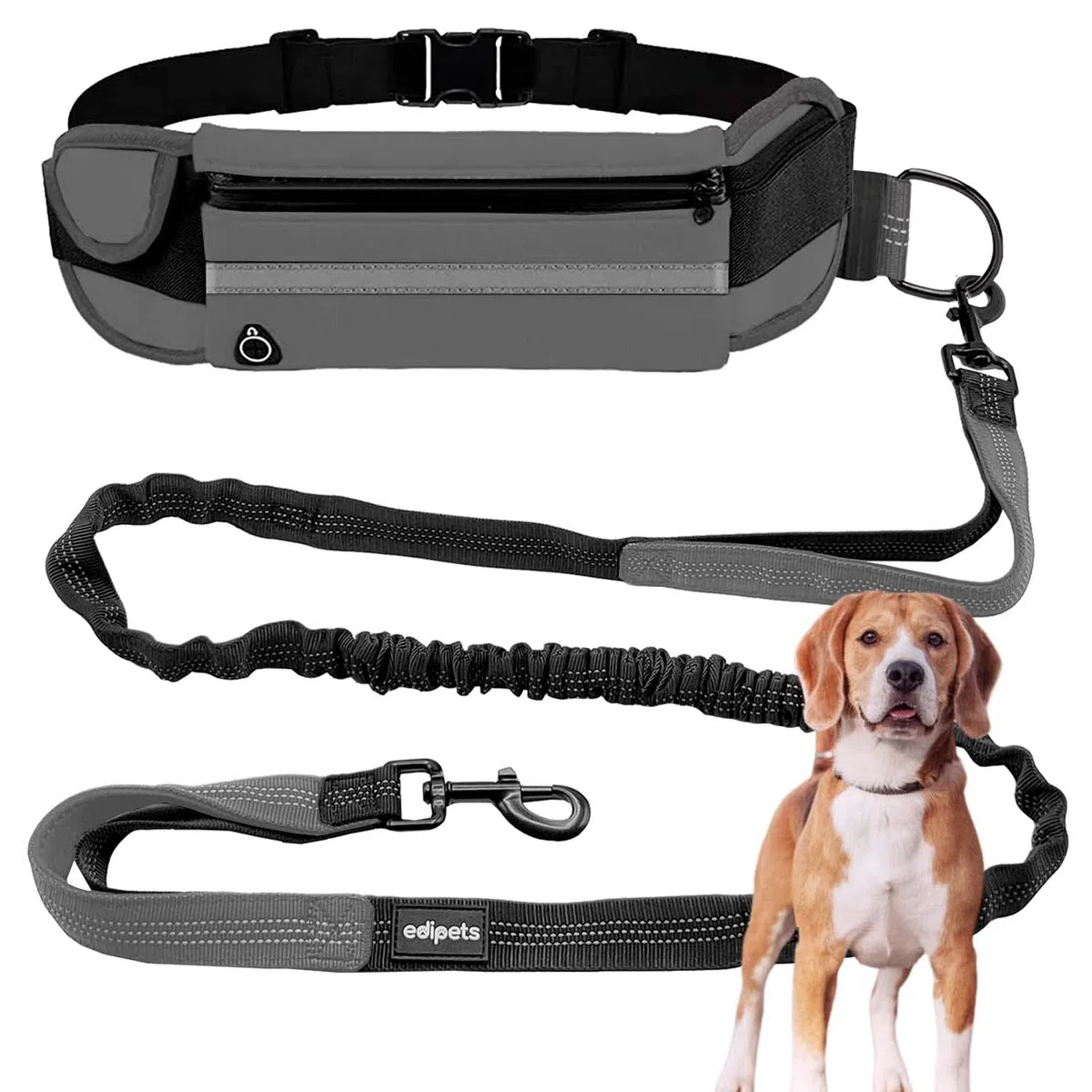 Edipets, Laisse Canicross, Main Libre Chien, pour Ceinture, Running, Anti-tirons, réfléchissant, 160-220 cm (Gris)