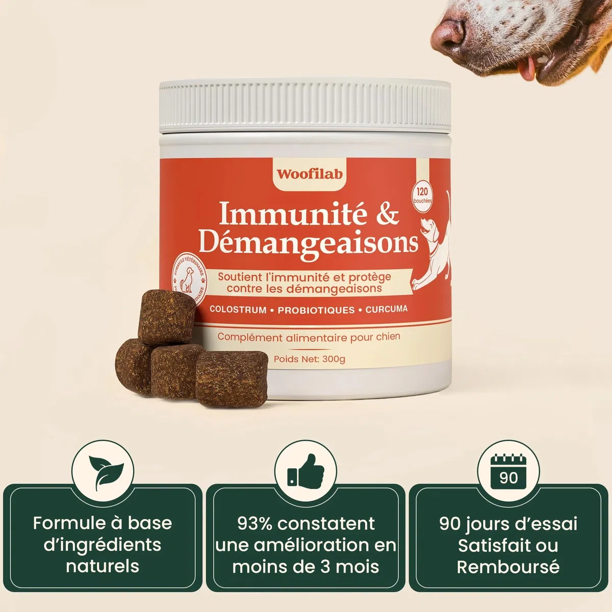 Woofilab Immunité & démangeaisons Complément Alimentaire Chien Immunité & Peau | Bouchées Colostrum, Curcuma et Probiotiques