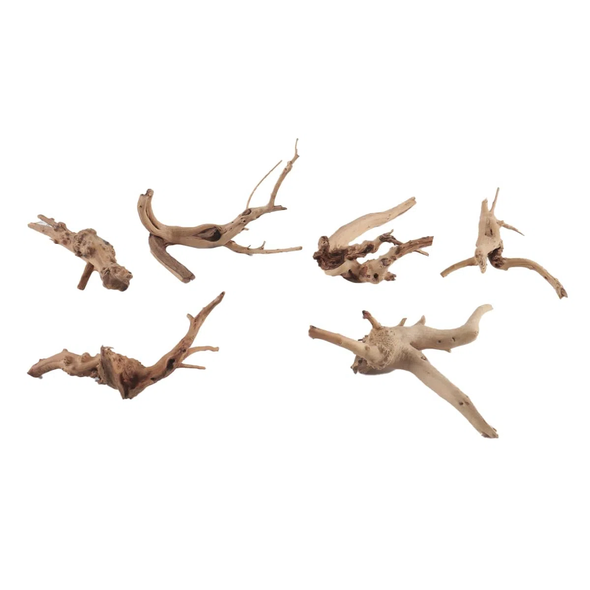 Lot de 6 branches de bois flotté naturel pour aquarium, décorations pour aquariums et habitats de reptiles