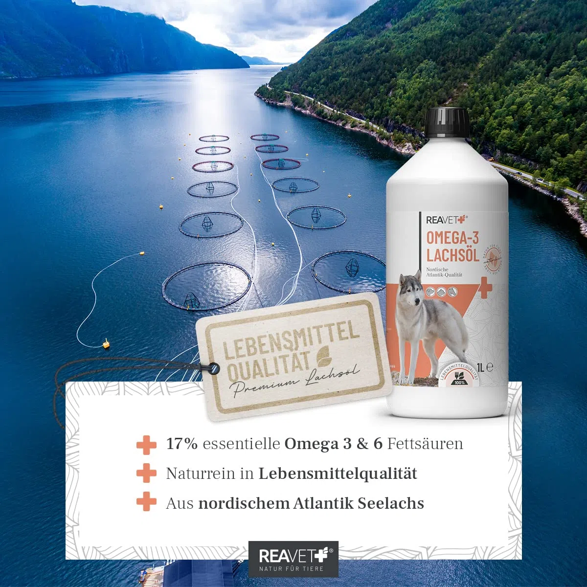 ReaVET Huile de Saumon Chiens 500 ML, oméga 3 & 6 Barf Huile Chiens I Huile de Saumon Chiens 500 ML I Huile de Poisson à Haute Dose Chiens en qualité Alimentaire