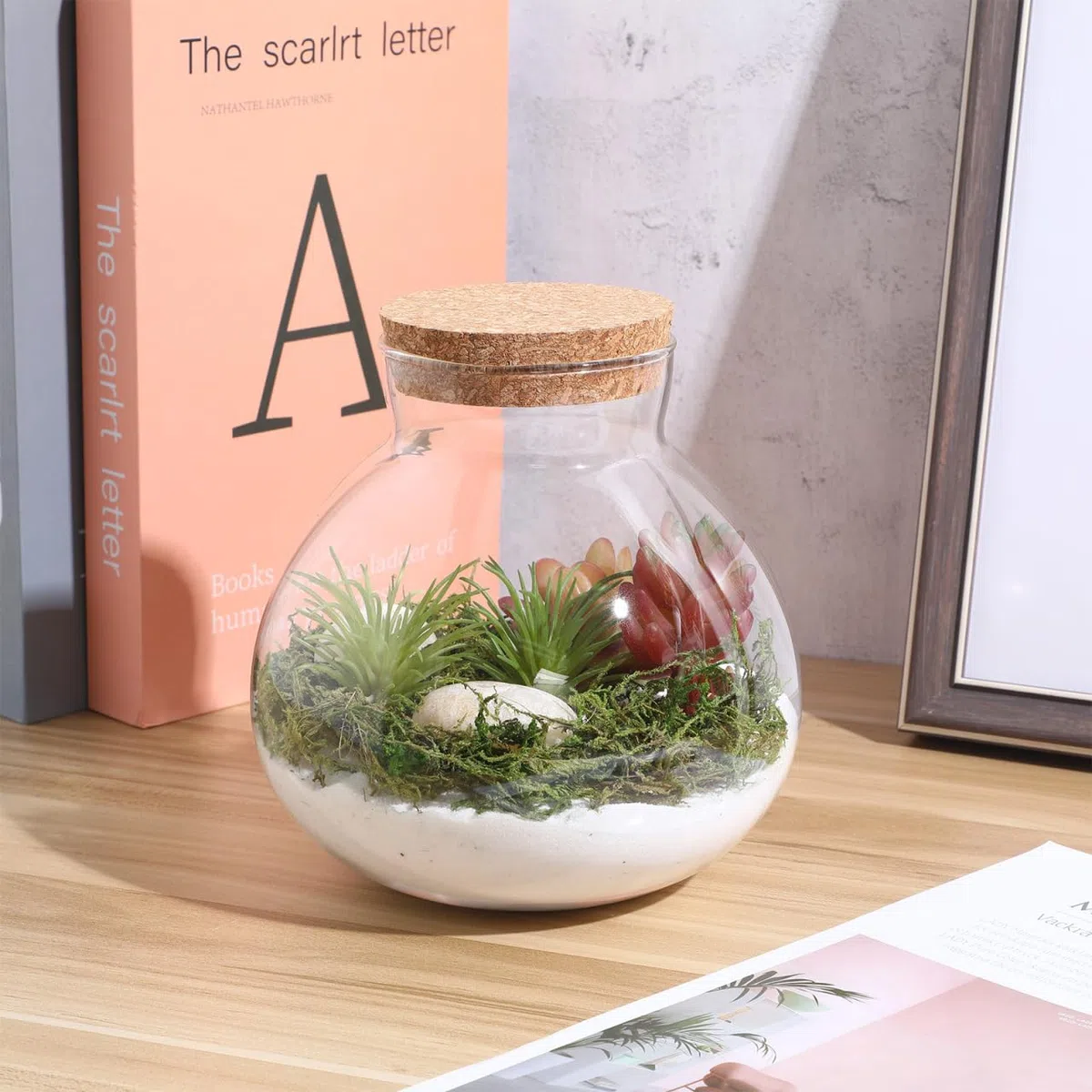 Happyyami Pot rond en verre transparent avec bouchon en liège pour terrarium à faire soi-même pour fougère et Fittonia Créez votre centre de table de jardin intérieur 15 cm