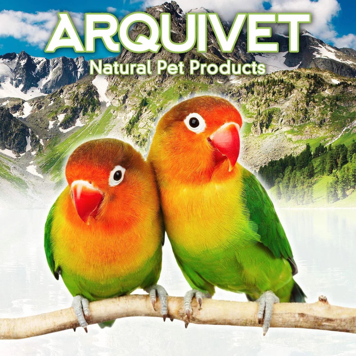 Arquivet Balançoire en métal et Bois pour Oiseaux 12 cm - Jouets Oiseaux - Accessoires de Cage pour Oiseaux - Balançoire pour perroquets, perruches, inséparables - Accessoires Cage Oiseaux