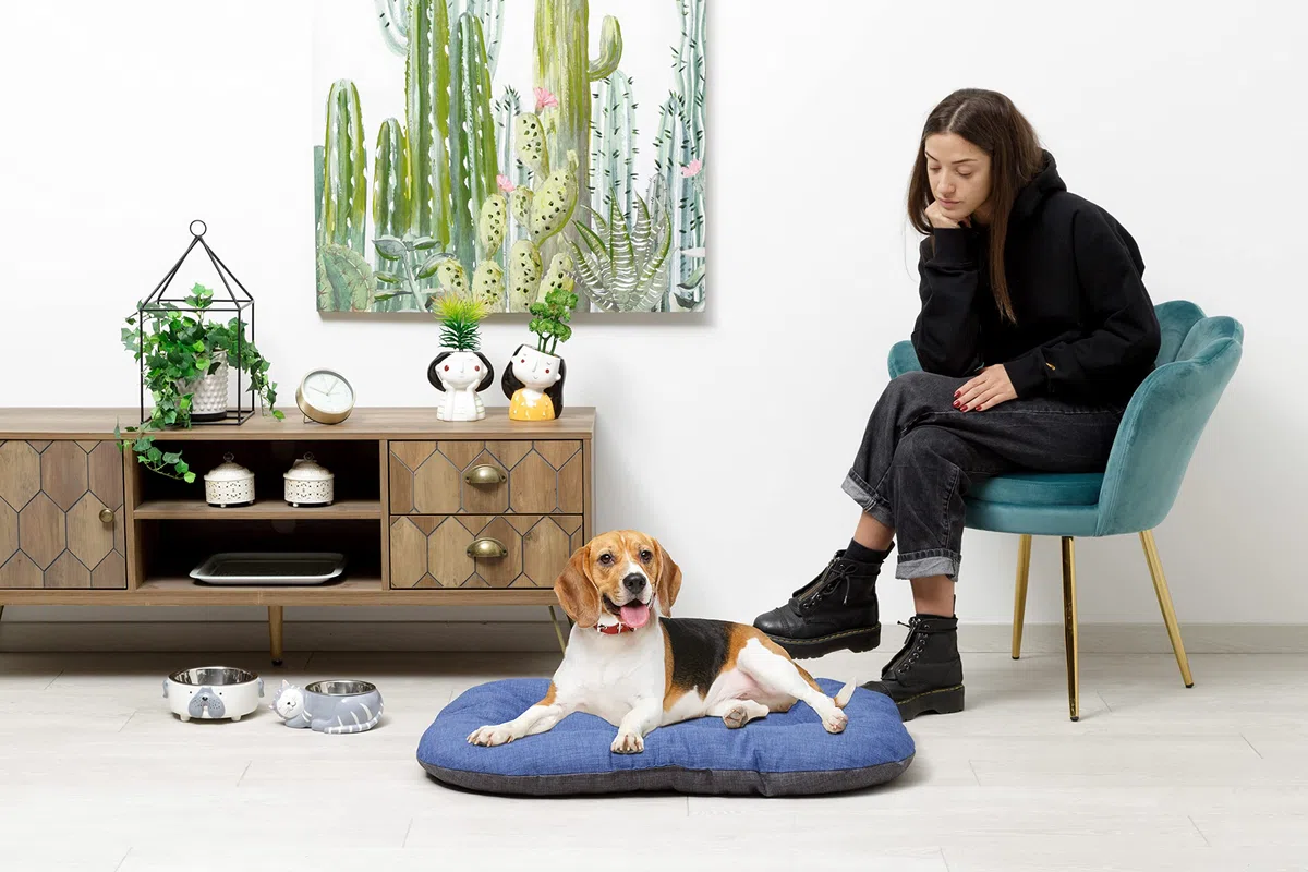 Baroni Home Coussin Rembourré pour Chien et Chat, Made in Italy, Panier Animaux Doux Double-Face, Lit pour Animal Confortable et Facile à Nettoyer, Gris et Bleu, 57x90x8 cm (L)