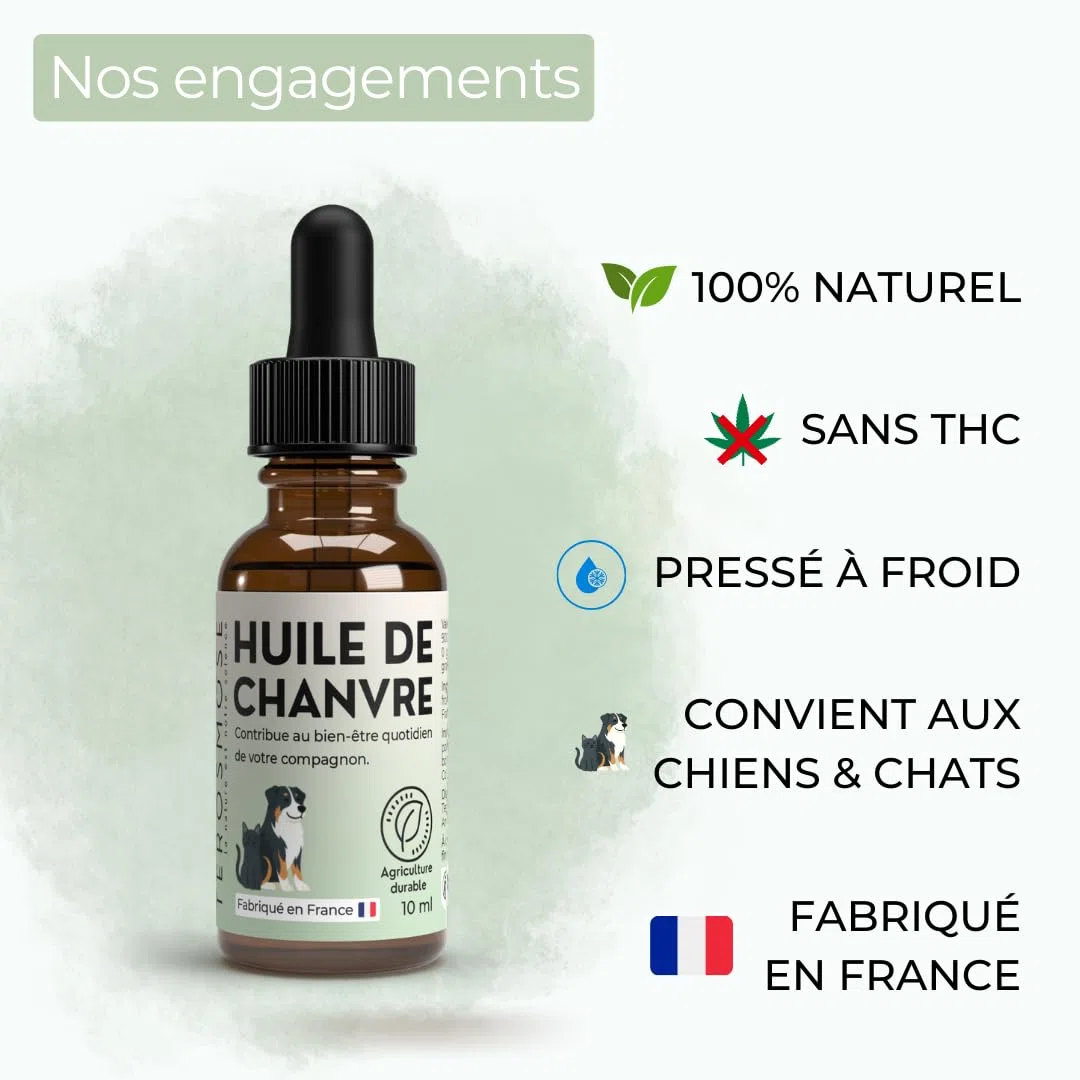 TEROSMOSE • Huile de Chanvre Premium pour Chiens & Chats - 100% Naturelle & Pure - Soutien Sérénité, Stress & Relaxation - Beauté du Pelage & Confort Cutané - Fabriqué en France