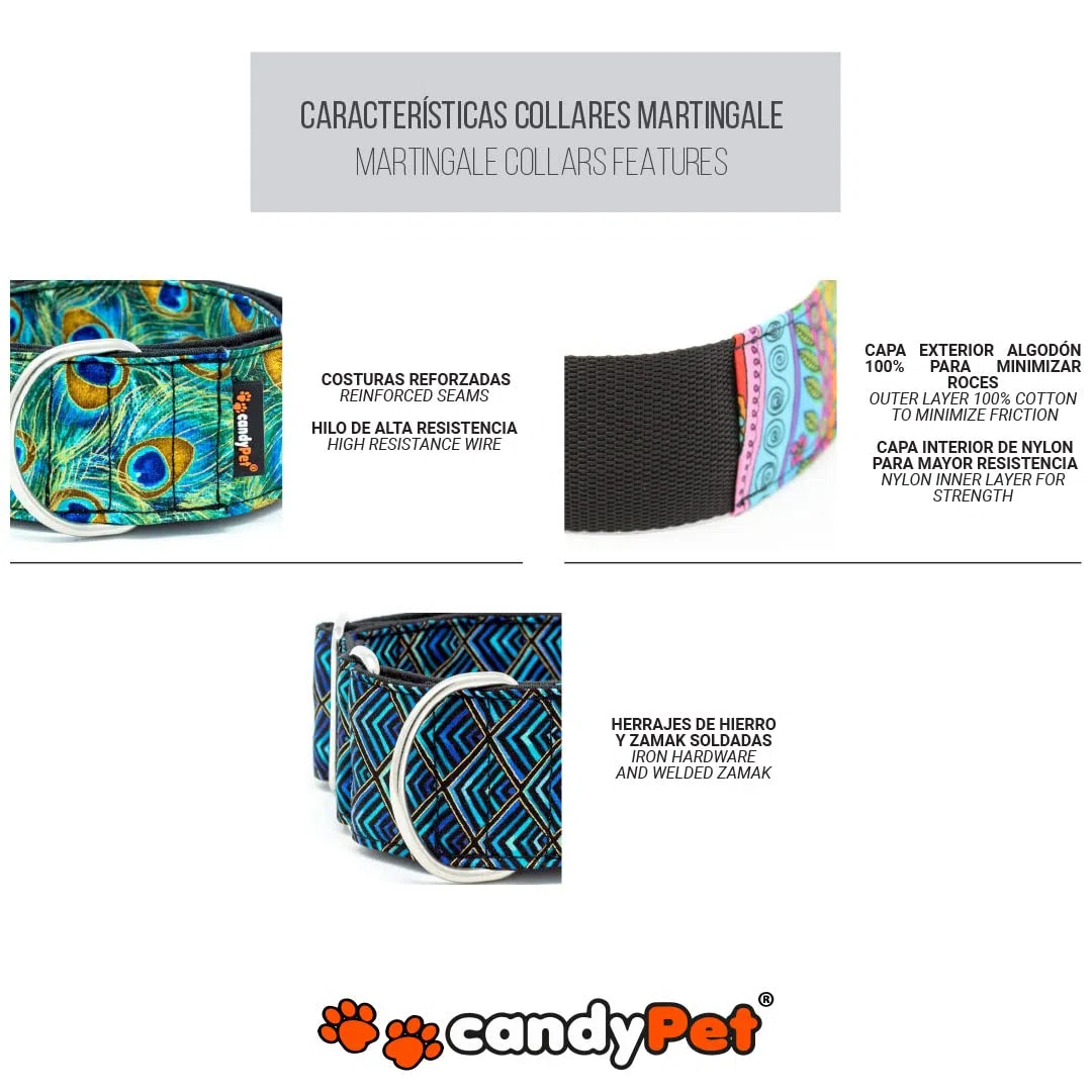Martingale Dog Collar - New Waves Model, L