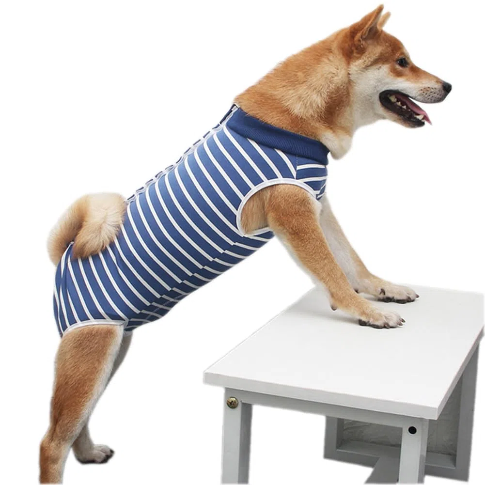 Chien sterilisation Body Chien Post operatoire Femelle Body pour Chien Castration Male Body Medical Déguisements pour Chiens, Vêtements de sevrage pour Chien (XX-Large, Rayé)