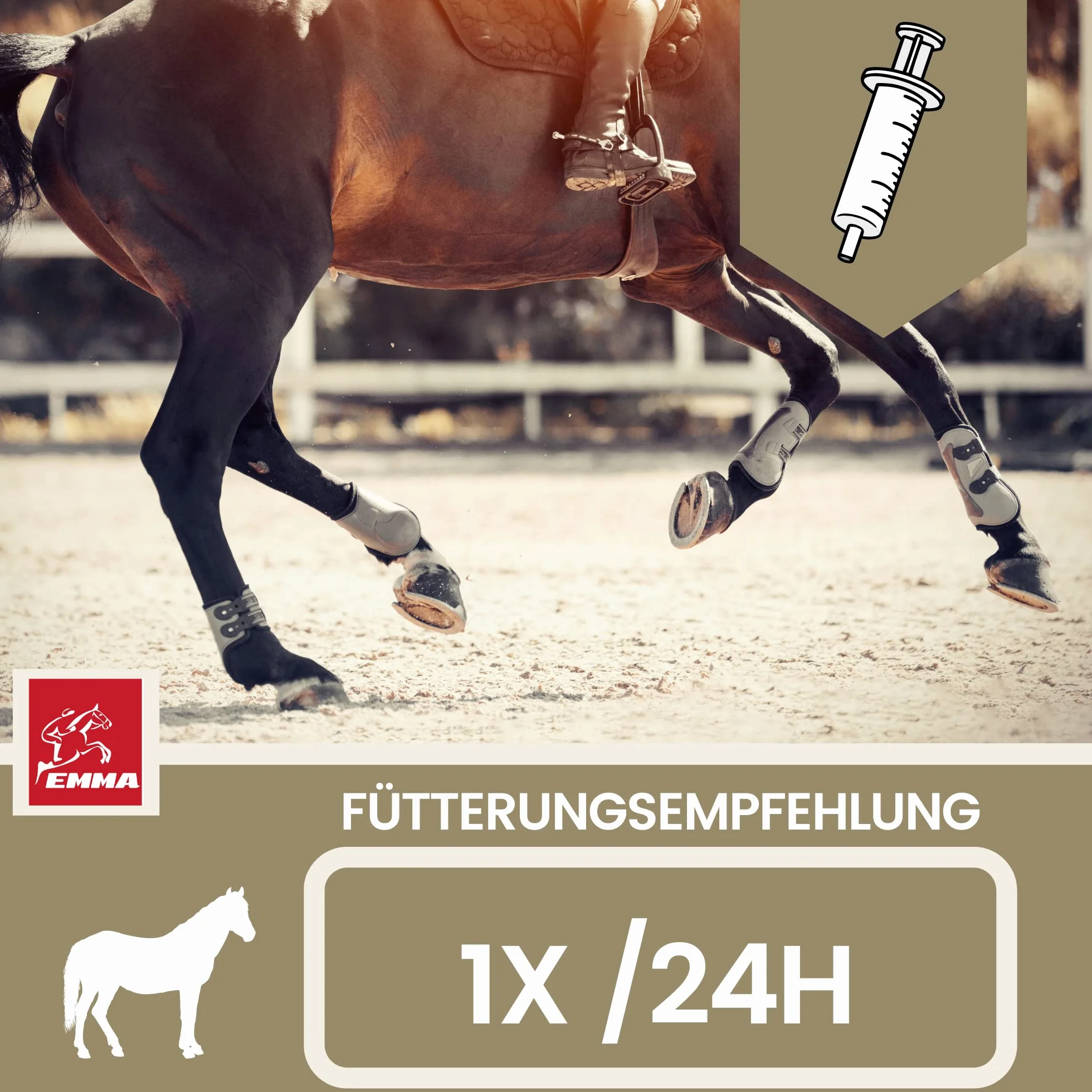Electrolytes Cheval Pâte vitaminée pour Chevaux I Vitamine b Complexe Cheval I Electrolytes pour Chevaux Sodium Potassium Magnésium Cheval Nourriture minérale Chevaux après diarrhée Sels minéraux 3pc