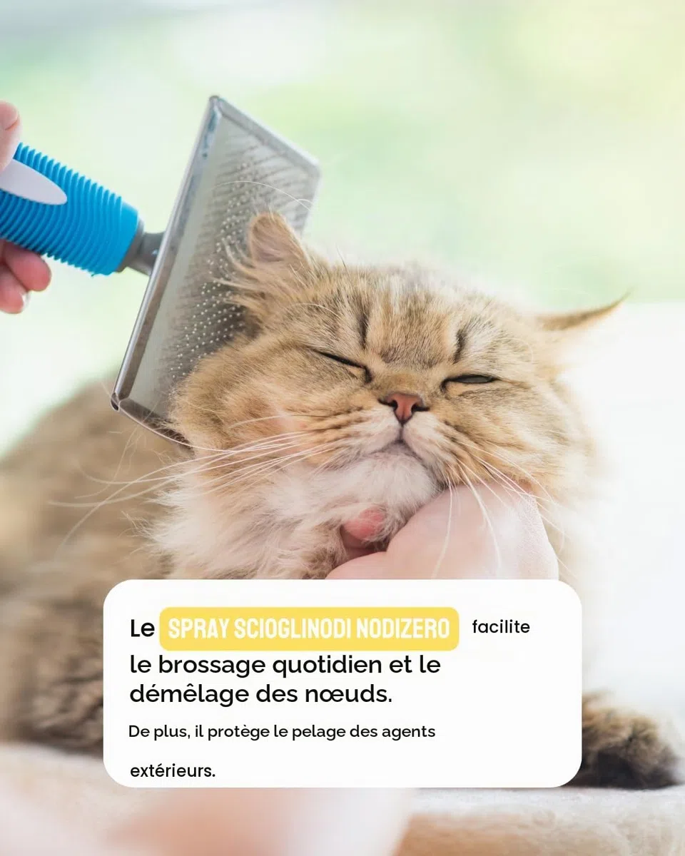 Il Principino - Spray Démêlant chien et chat, idéal pour dissoudre nœuds, demelant chat poils longs, démêlant efficace poils de chien, aide le brossage, illumine,empêche la formation des nœuds 200 ml