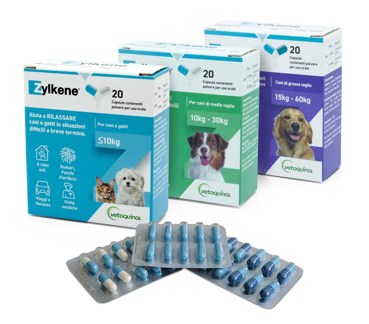 Zylkene Complément Alimentaire | Chiens de Taille Moyenne (10-30 kg) 225 MG | Favorise la Relaxation dans Les Situations d'inconfort à Court Terme : bruits forts, visites vétérinaires | 20 gélules
