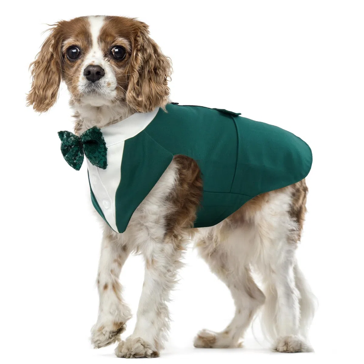 Smoking Formel pour Chien, Costume de Fête de Mariage Chiens Chemise à nœud Papillon Deguisement Chien Noel Vetement Chien Élégant(Vert Foncé, L)
