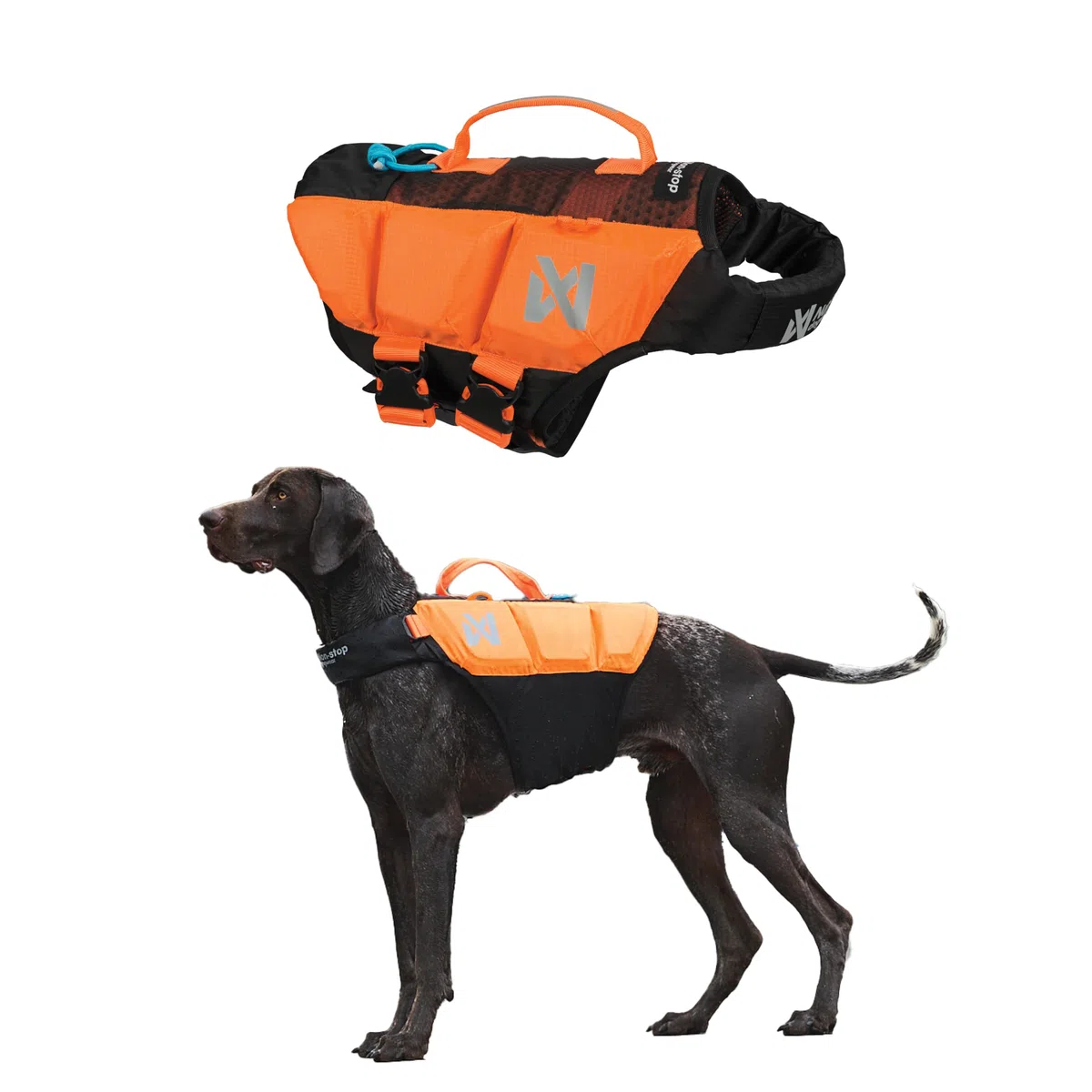 Non-Stop Dogwear Protector Life Jacket - Gilet de Sauvetage pour Chien Orange Respirant avec Bandes Réfléchissantes
