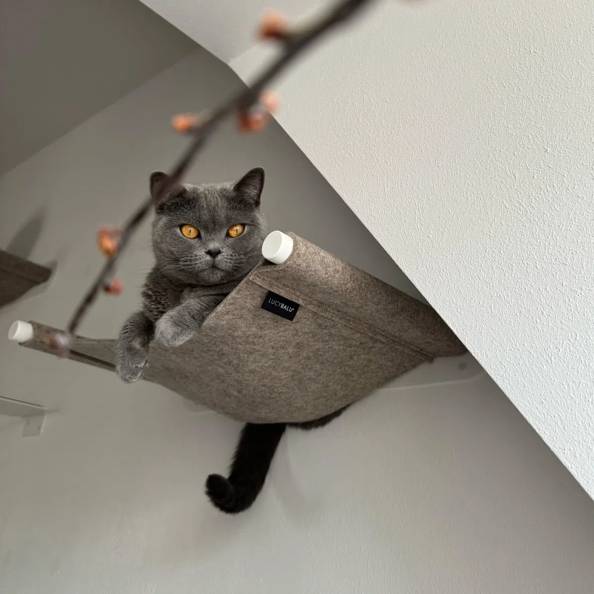 LucyBalu® Swing Hamac Mural pour Chat en Feutre Naturel I Blanc