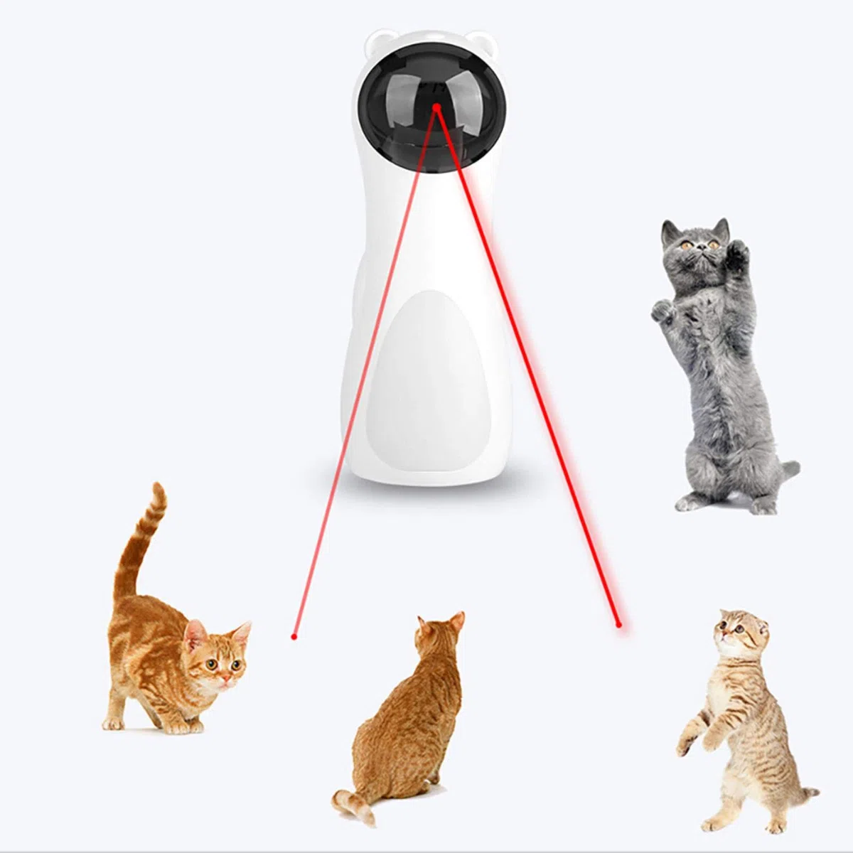Jouet Laser LED pour Chat Jouet de Poche Amusant interactif Intelligent Jouet de Divertissement d'entraînement Sportif Multi-Angle pour Chat