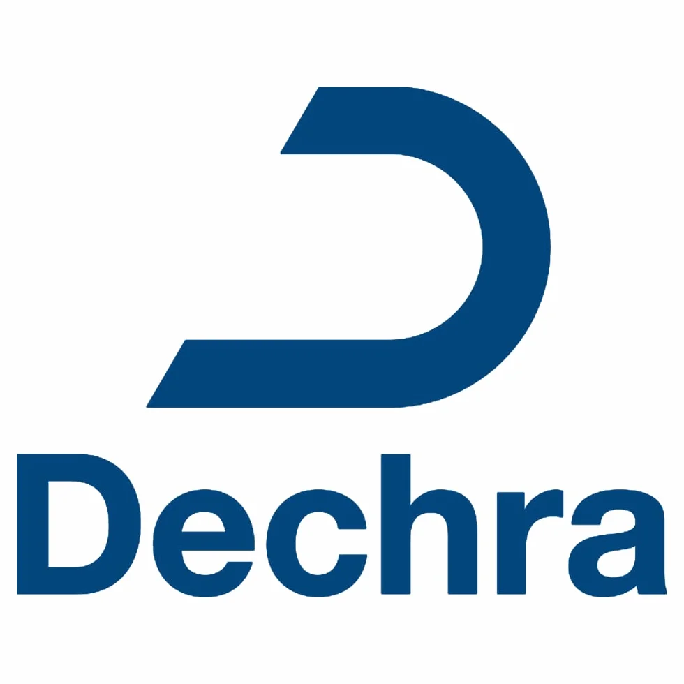 Dechra Catney One | 30 x 520 MG | Aliment complémentaire pour des objectifs nutritionnels particuliers chez Les Chats | pour Soutenir la Fonction rénale en Cas d'insuffisance rénale Chronique
