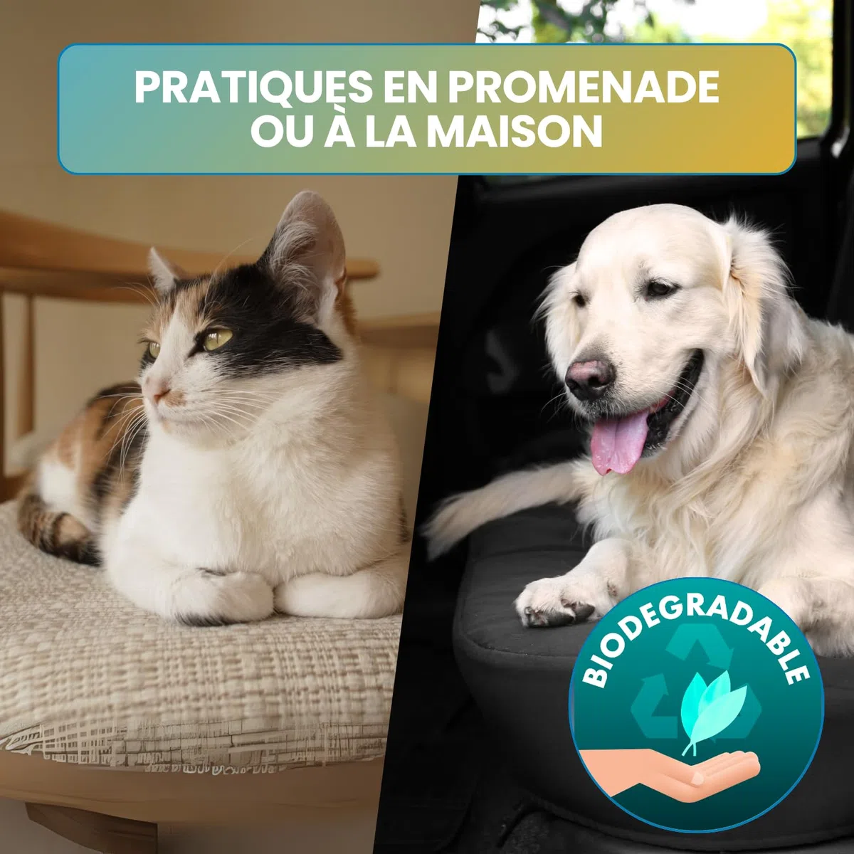 Lingettes Chien & Chat Nettoyantes et Hydratantes (1000 unités) – Lingettes Animaux pour Yeux, Oreilles, Pattes et Pelage – Hygiène Quotidienne Animaux – Lot 20 x 50 Lingettes