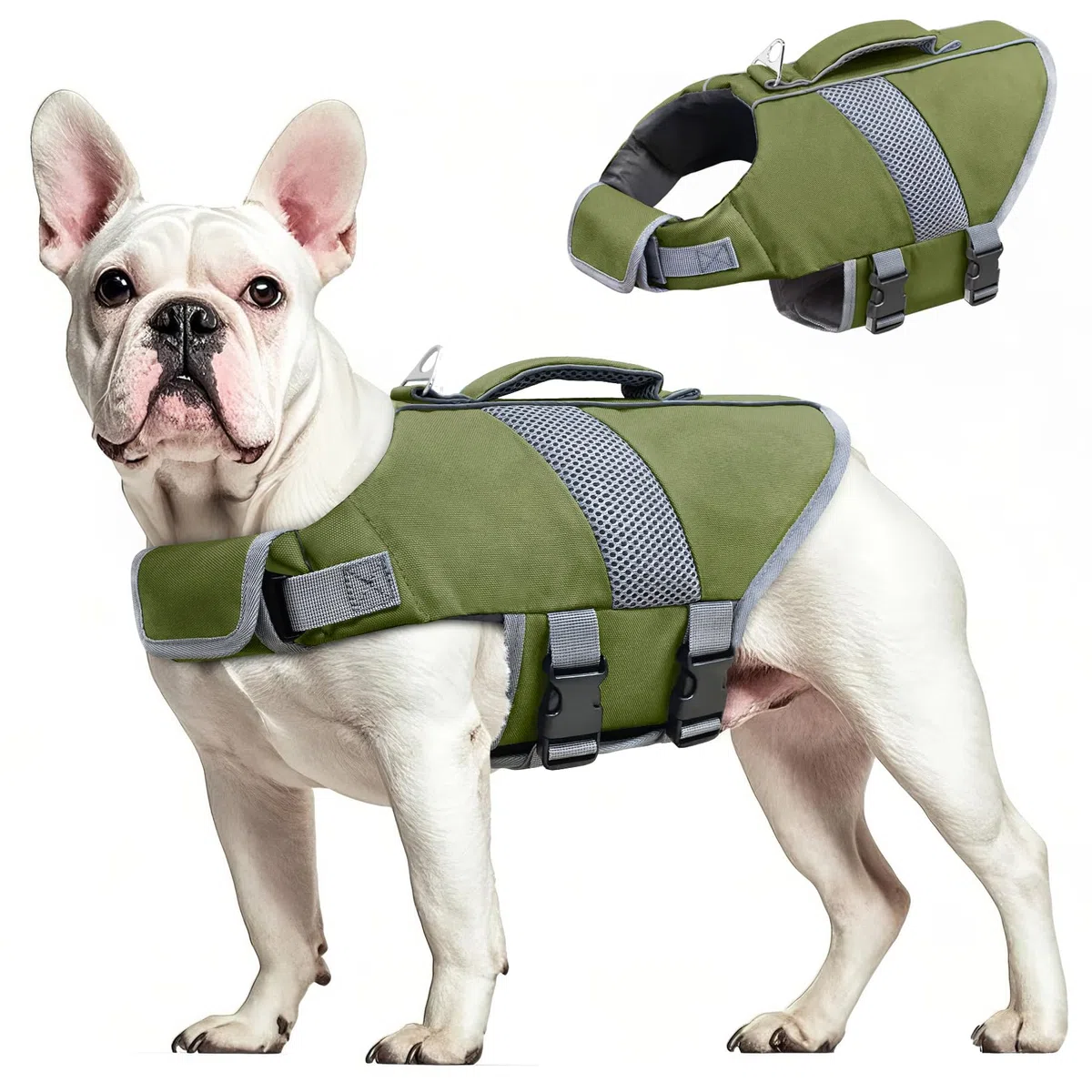 Gilet de Sauvetage pour Chien Haute Flottabilité, Gilet Sauvetages pour Chien de Requin Réfléchissant Sécurité pour Animaux Compagnie Maillot Bain (Vert, XS)